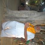 Vraj-Yatra-2014- (1605)